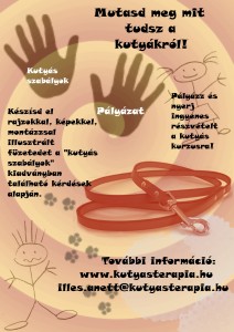 pályázatifelhivas