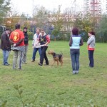 Erzsebet_Kupa_329
